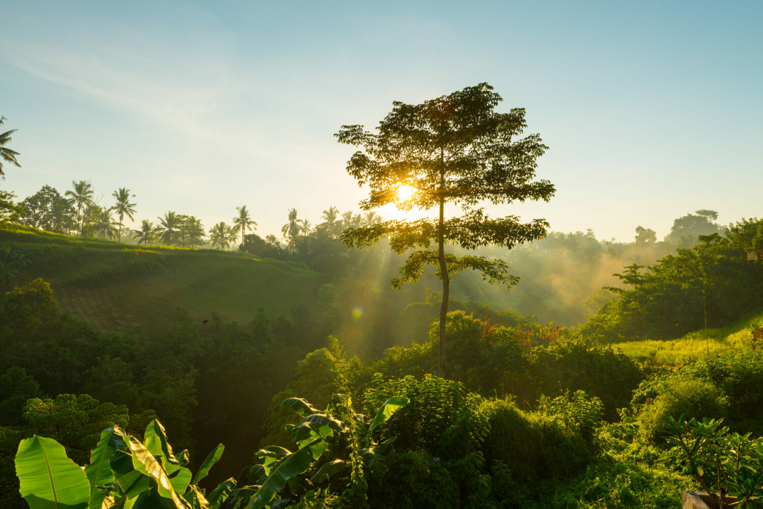 Salida del sol en la jungla de Bali